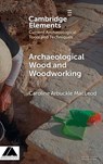 Archaeological Wood and Woodworking - Caroline (University of Saskatchewan) Arbuckle Macleod - 9781009598040