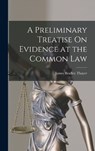 A Preliminary Treatise On Evidence at the Common Law - James Bradley Thayer - 9781015652132
