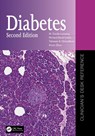 Diabetes - M. Cecilia Lansang ; Richard David (St Bartholomew’s Hospital and Centre for Diabetes Leslie ; Tahseen A. Chowdhury ; Keren Zhou - 9781032146454