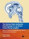 The Human Brain during the First Trimester 31- to 33-mm Crown-Rump Lengths - Shirley A. Bayer ; Joseph Altman - 9781032183329
