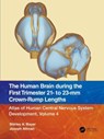 The Human Brain during the First Trimester 21- to 23-mm Crown-Rump Lengths - Shirley A. Bayer ; Joseph Altman - 9781032219301