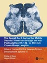 The Spinal Cord during the Middle Second Trimester through the 4th Postnatal Month 130- to 440-mm Crown-Rump Lengths - Shirley A. Bayer ; Joseph Altman - 9781032229102