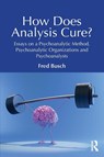 How Does Analysis Cure? - Fred (Training and Supervising Analyst Busch - 9781032658681