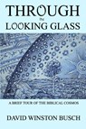 Through the Looking Glass - David Winston Busch - 9781034810964