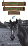 The Horses of Saddlers Ranch: Black Knight - Alison Bellringer - 9781035869947