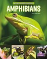 Amphibians - Tracy Vonder Brink - 9781039800229