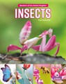 Insects - Tracy Vonder Brink - 9781039800236