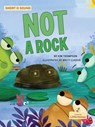 Not a Rock - Kim Thompson - 9781039800625