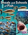 Shoals and Schools of Fish - Rachel Stuckey - 9781039806818