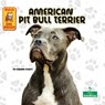 American Pit Bull Terrier - Corinne Fickett - 9781039844667