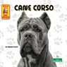 Cane Corso - Corinne Fickett - 9781039844728