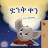 A Wonderful Day (Amharic Book for Children) - Sam Sagolski ; Kidkiddos Books - 9781049702025
