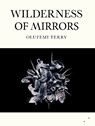 Wilderness of Mirrors - Olufemi Terry - 9781068433856