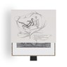 Edward Gorey: The Fraught Settee Slipcase Boxed Notecards -  - 9781087512501
