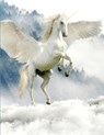 Unicorn Notebook - Rwg - 9781087819792
