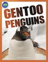 Gentoo Penguins activity workbook ages 4-8 - Beth Costanzo - 9781087873770