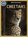 Cheetah Activity Workbook ages 4-8 - Beth Costanzo - 9781087873978