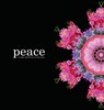 Peace - JONES,  Kim - 9781087886862