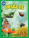Bugs in My Backyard for Kids - Beth Costanzo - 9781087990484