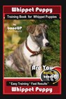 Whippet Puppy Training Book for Whippet Puppies By BoneUP DOG Training: Are You Ready to Bone Up? Easy Training * Fast Results Whippet Puppy - Karen Douglas Kane - 9781096805175