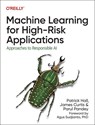 Machine Learning for High-Risk Applications - Patrick Hall ; James Curtis ; Parul Pandey - 9781098102432