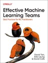 Effective Machine Learning Teams - David Tan ; Ada Leung ; David Colls - 9781098144630