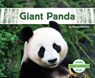 Giant Panda - Grace Hansen - 9781098205935