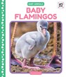 Baby Flamingos - Julie Murray - 9781098245214