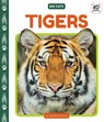 Tigers - Elizabeth Andrews - 9781098246938