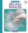 Beluga Whales - Julie Murray - 9781098247720