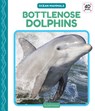 Bottlenose Dolphins - Julie Murray - 9781098247737
