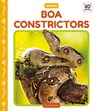 Boa Constrictors - Julie Murray - 9781098247799