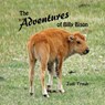 The Adventures of Billy Bison - TRAUB,  Jodi - 9781098332198