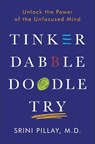 Pillay, S: Tinker Dabble Doodle Try - Srini Pillay - 9781101883655