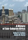 A History of Sub-Saharan Africa - Robert O. Collins ; James M. (Clemson University Burns - 9781107628519