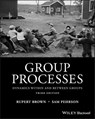 Group Processes - Rupert Brown ; Samuel Pehrson - 9781118719312