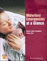 Midwifery Emergencies at a Glance - Denise Campbell ; Susan M. Carr - 9781119138044