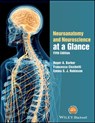 Neuroanatomy and Neuroscience at a Glance - Roger A. (Addenbrooke's Hospital and Cambridge Medical School) Barker ; Francesca (Centre de Recherche du CHUL (CHUQ) Cicchetti ; Emma S. J. Robinson - 9781119168416