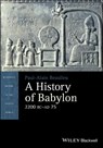 A History of Babylon, 2200 BC - AD 75 - Paul-Alain Beaulieu - 9781119459118