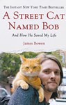 STREET CAT NAMED BOB - JAMES BOWEN - 9781250029461
