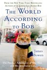 The World According to Bob - James Bowen - 9781250067814