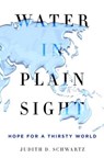 Water in Plain Sight - Judith D. Schwartz - 9781250069917