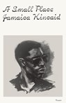 A Small Place - Jamaica Kincaid - 9781250340610