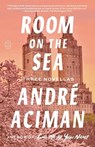 Room on the Sea - Andre Aciman - 9781250437891