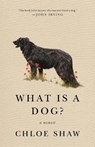What Is A Dog? - Chloe Shaw - 9781250785404