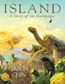 Island - Jason Chin - 9781250799937