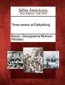 Three weeks at Gettysburg. - Georgeanna Muirson Woolsey Bacon - 9781275661738