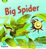 Bug Club Phonics - Phase 5 Unit 27: Big Spider - Teresa Heapy - 9781292395388