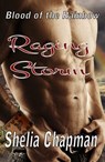 Blood of the Rainbow I: Raging Storm - Shelia Chapman - 9781301243679
