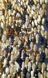 Tales of a Northern Shepherd - Paul Chapman - 9781301495634